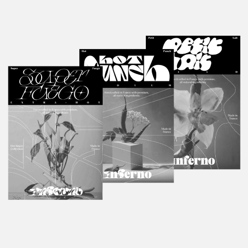 Coloso Type & Graphic Designer, Clément Cases