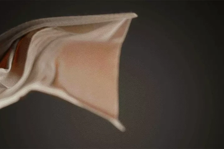3D그래픽아티스트 홍성우3