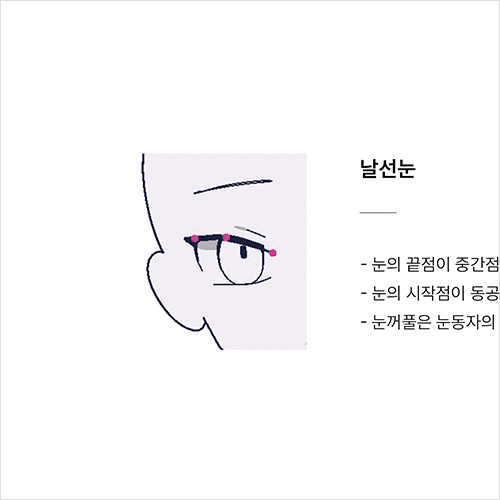 Illustrator, bmtol