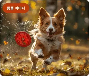 ImageSlide