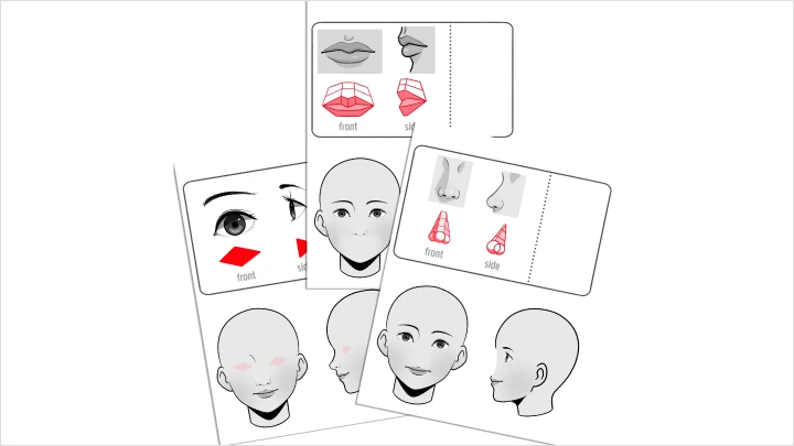 curriculum_illustrator_indigo3_1.webp