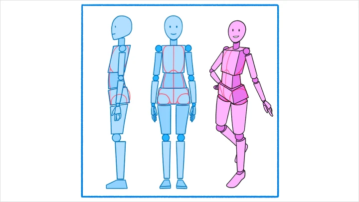 curriculum_illustrator_indigo4_1.webp