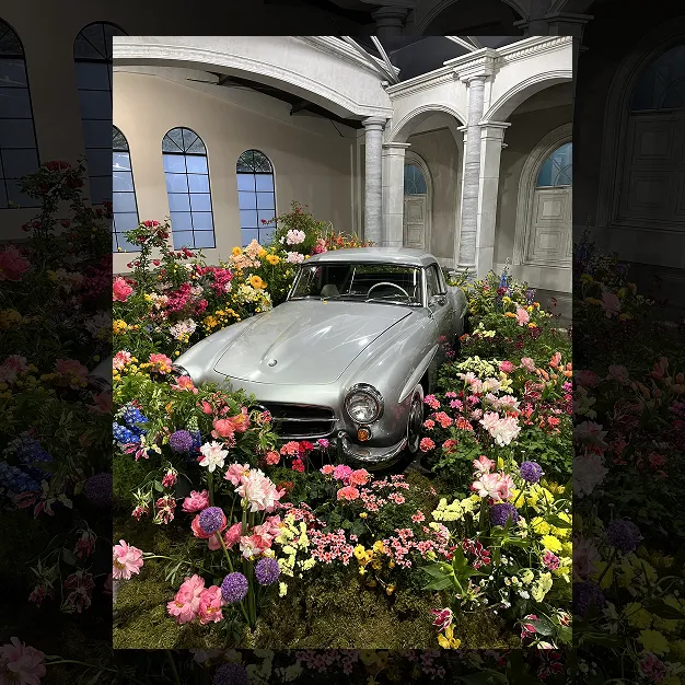 ImageSlide아이돌 MV 세트장 [ 여자 아*들 ]