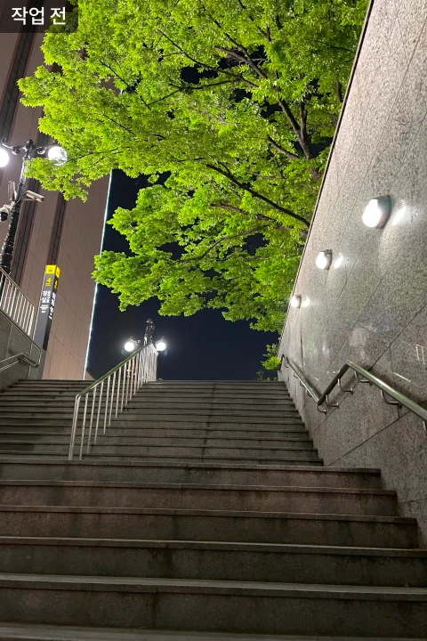 일러스트레이터 인디고