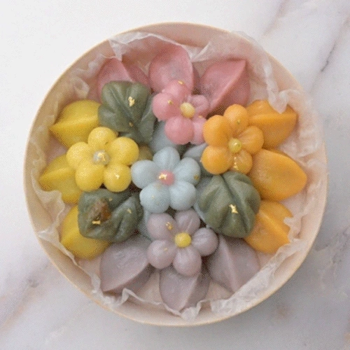 플레플레 대표, 서지현