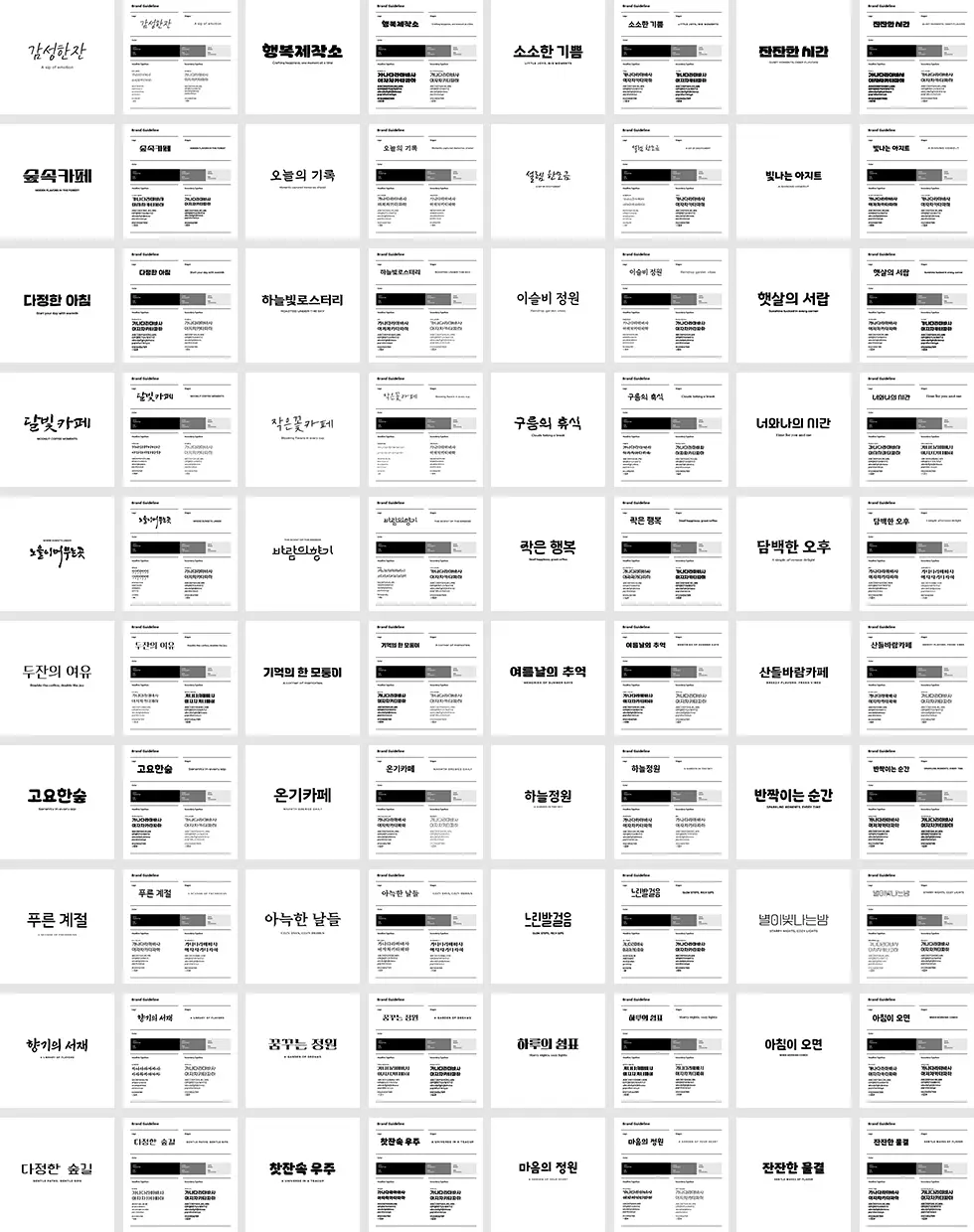 콜로소 비비비