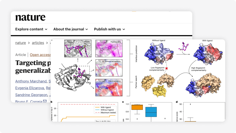 Example Image