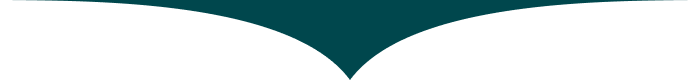 Arrow Image