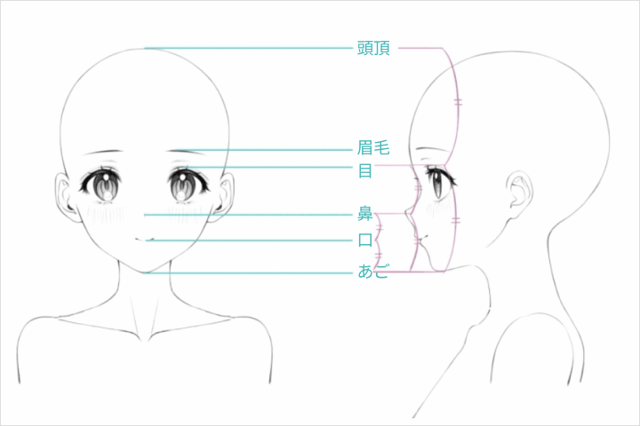 Coloso イラストレーター キンティ