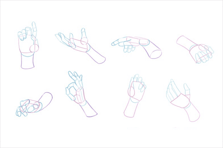 Coloso イラストレーター キンティ