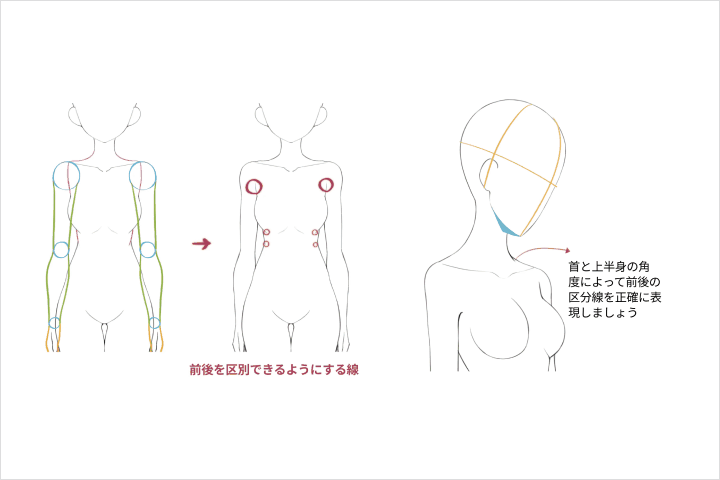 Coloso イラストレーター キンティ