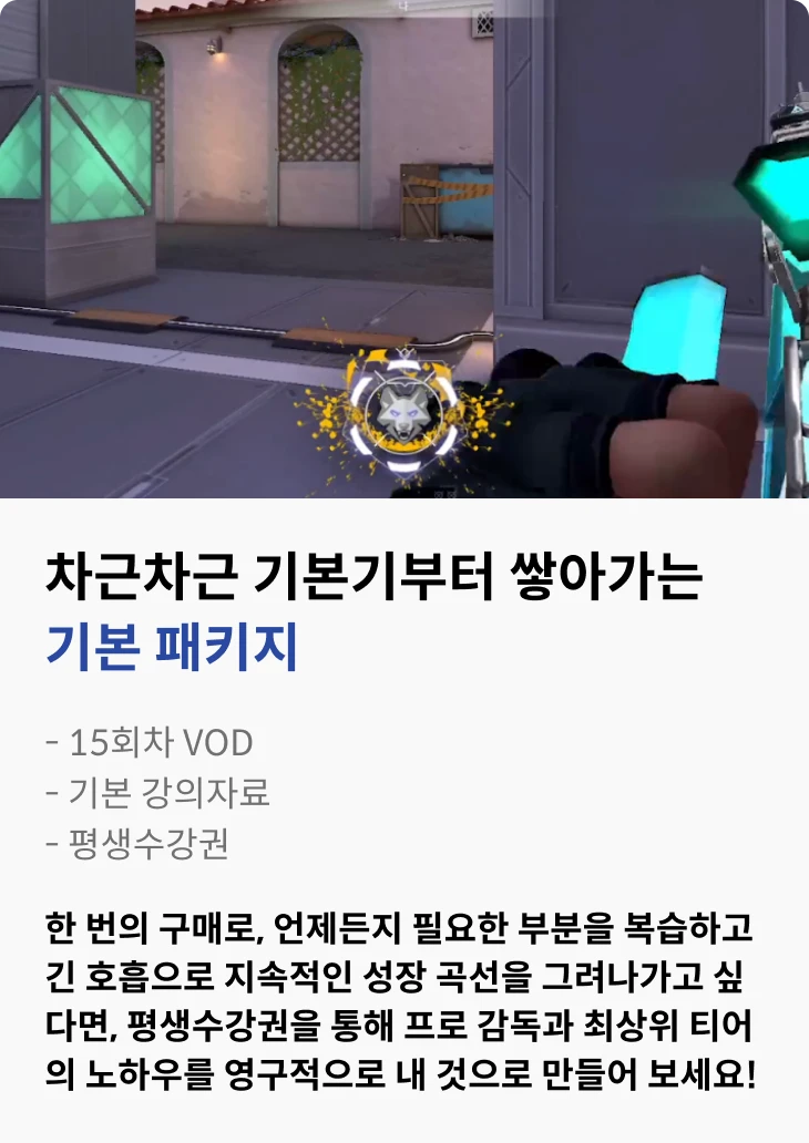 기본패키지