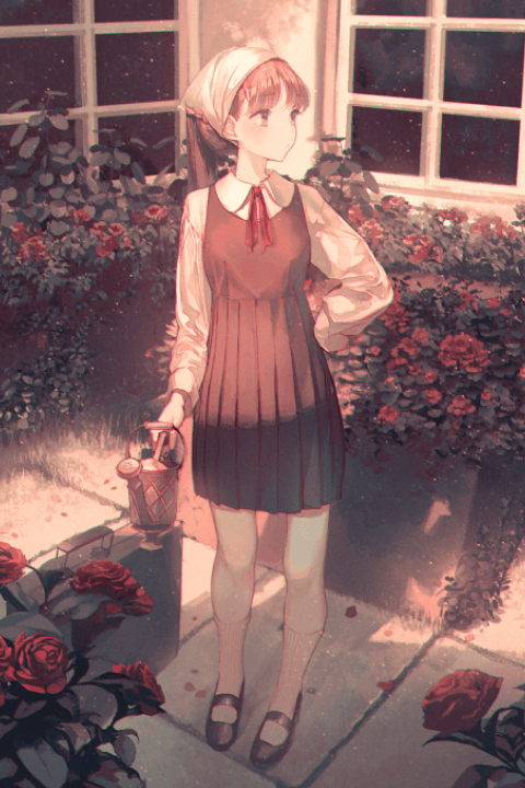 Illustrator Sul