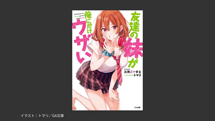 jp-novelist-mikawaghost-curriculum22.webp
