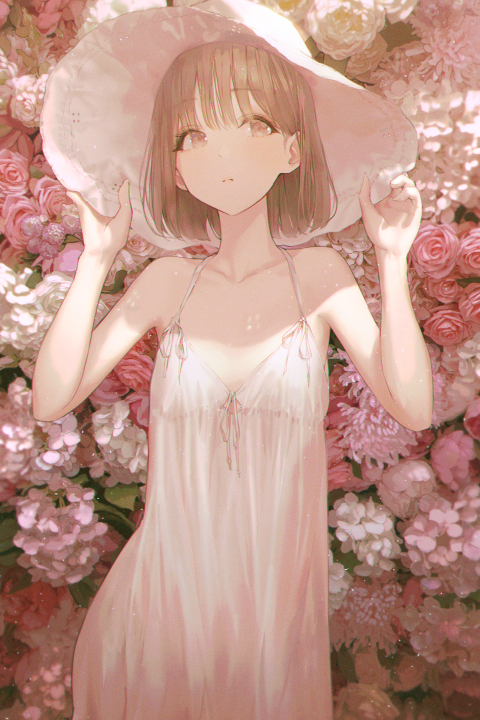 Illustrator Sul