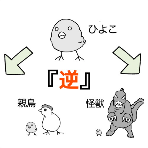Coloso イラストレーター 梵辛 講座例題