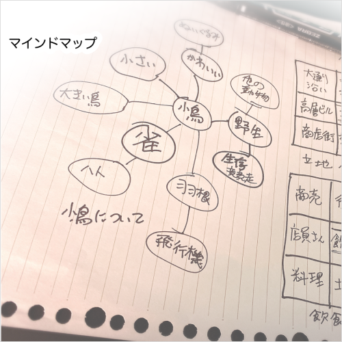 Coloso イラストレーター 梵辛 講座例題