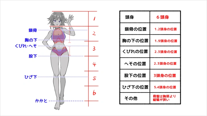 curriculum-illustrator-ueda-jp-03-3.webp
