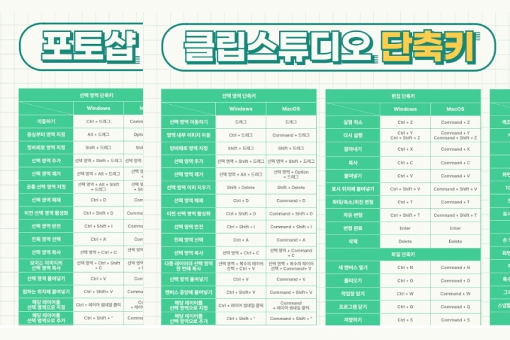 콜로소 무료 특강 포트폴리오
