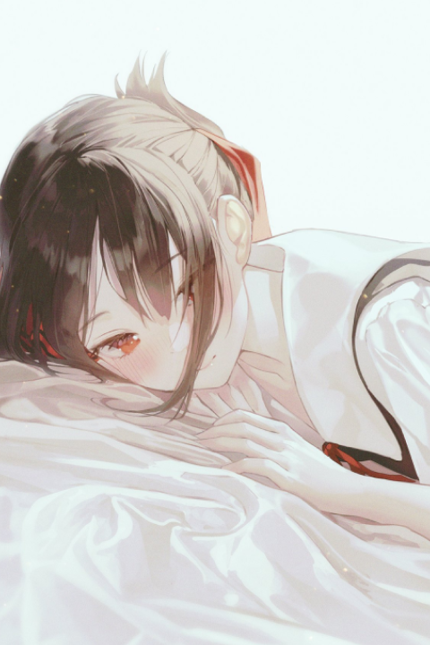Illustrator Sul