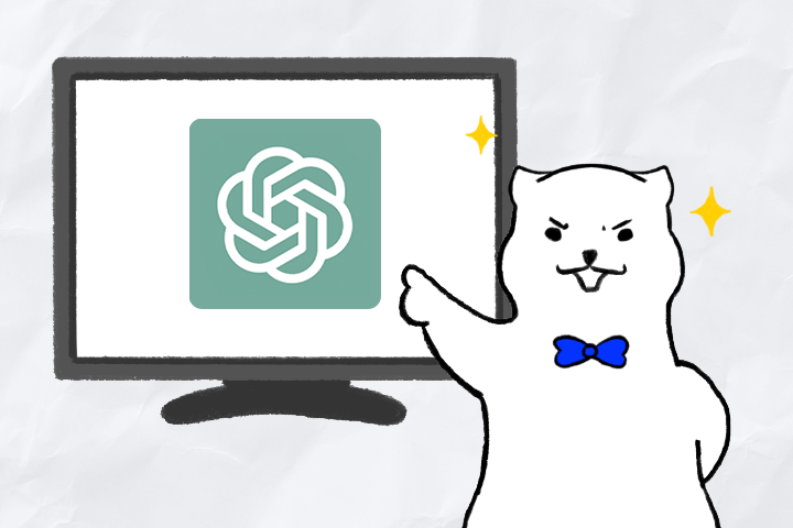 콜로소 무료 특강 포트폴리오