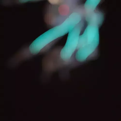 3D 아티스트  민스틴