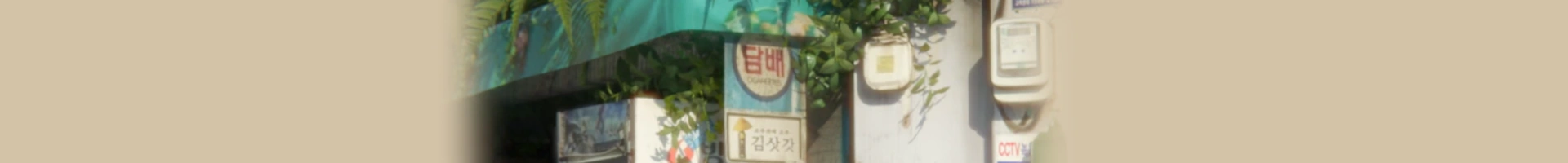 배경 이미지