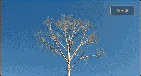 ImageSlide