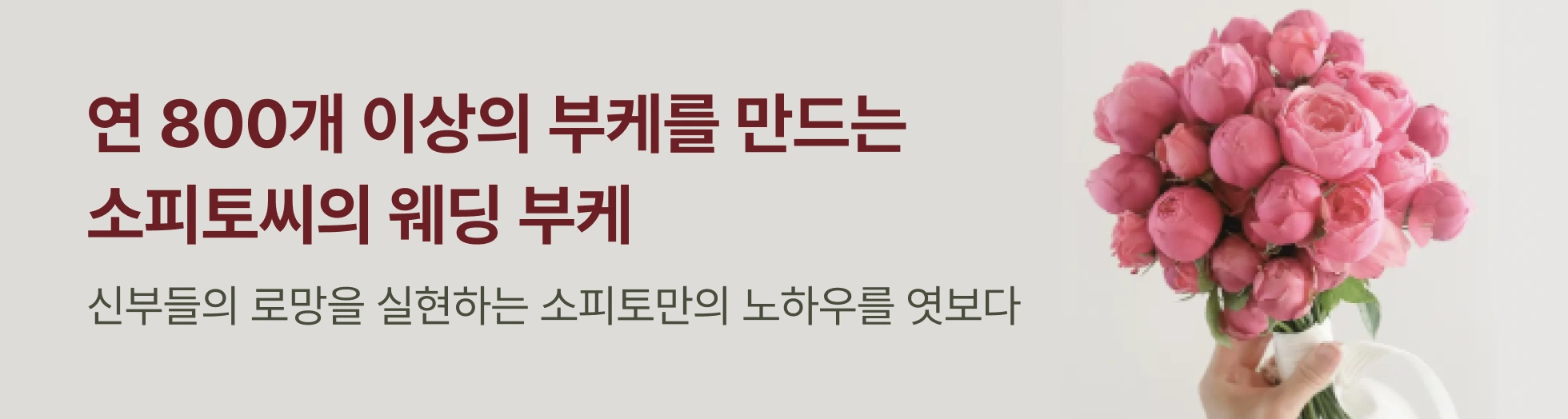 소피토