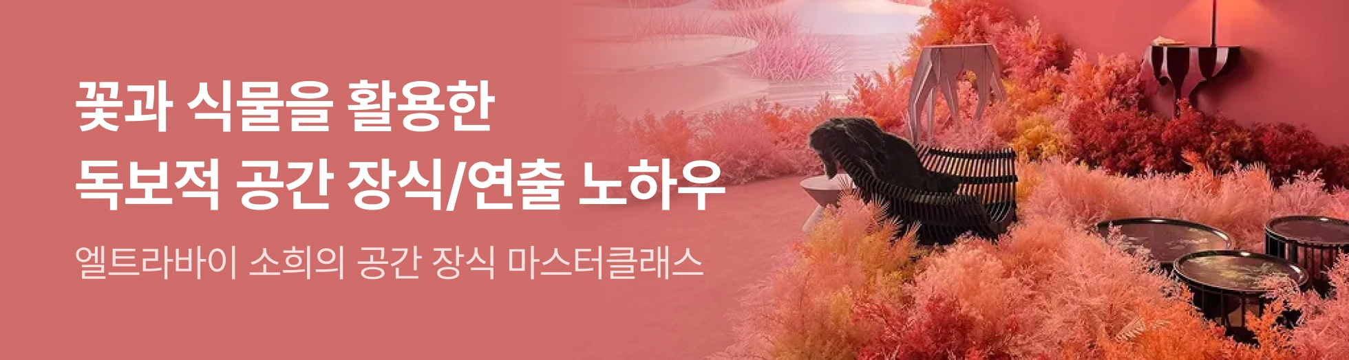 엘트라바이 소희