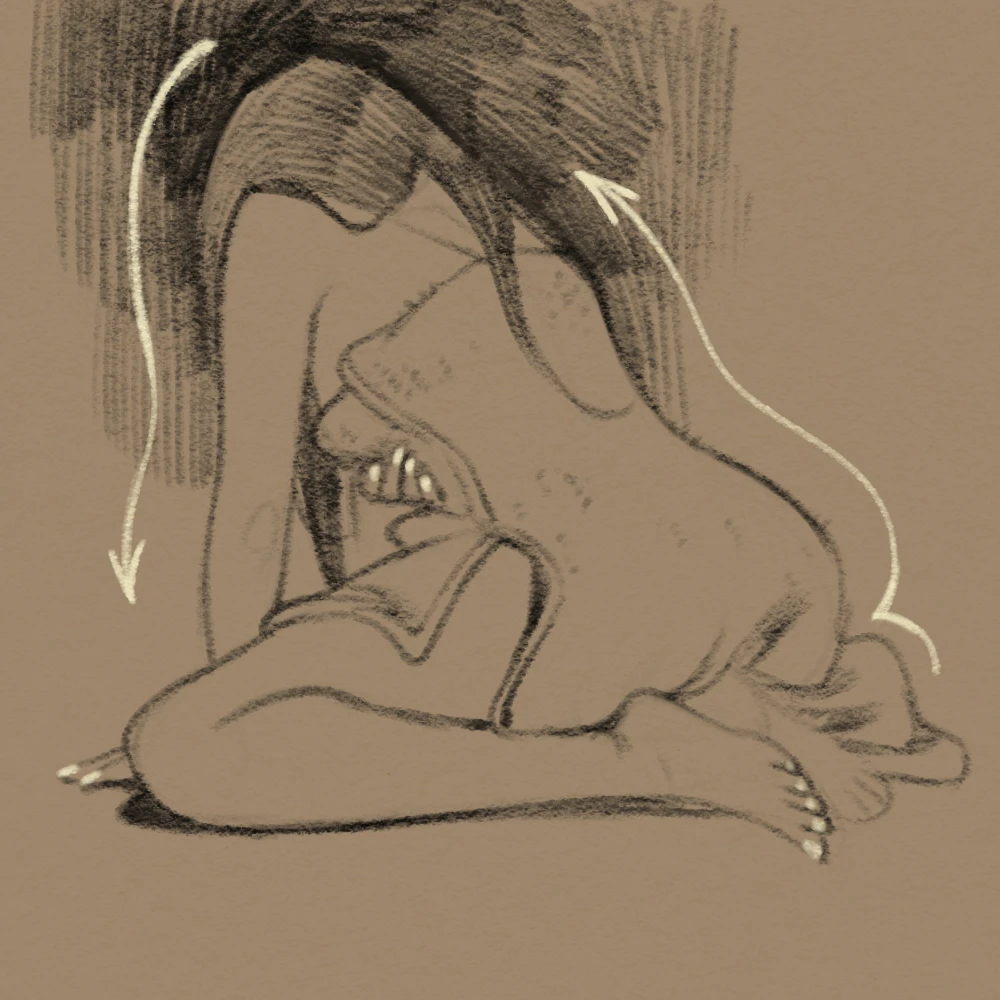 coloso illustrator simzart Exercises