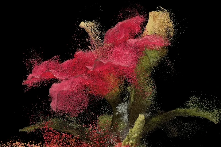 Yuxi (James) Cao New Media Artist