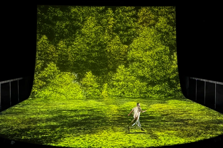 Yuxi (James) Cao New Media Artist
