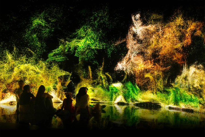 Yuxi (James) Cao New Media Artist
