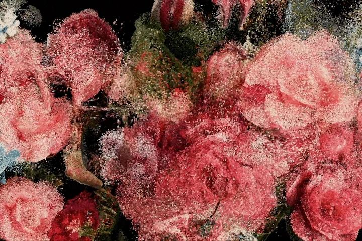 New Media Artist Yuxi (James) Cao