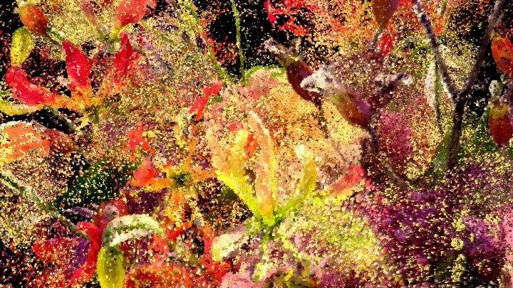 curriculum-mediaart-yuxicao-global-09.webp