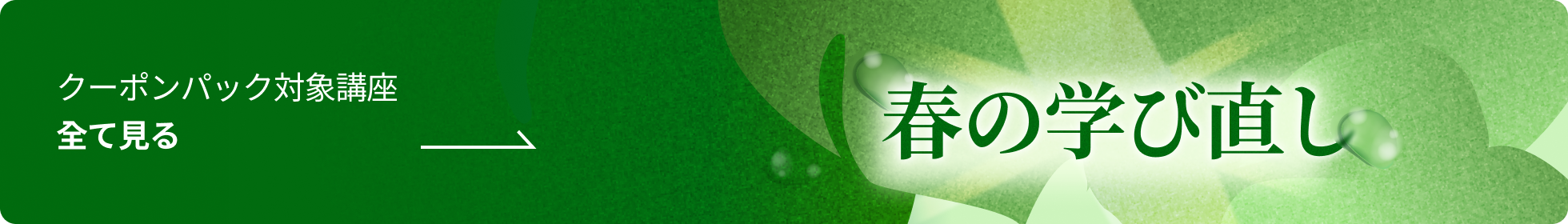 Coloso 春の学び直し