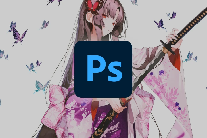 program