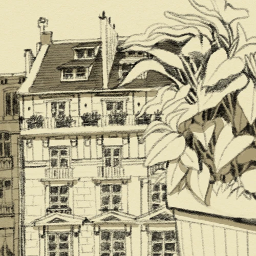 coloso illustrator simzart Exercises