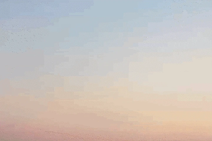 연사명