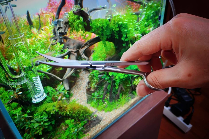 水景クリエイター 冨岡直樹 | コロソ.