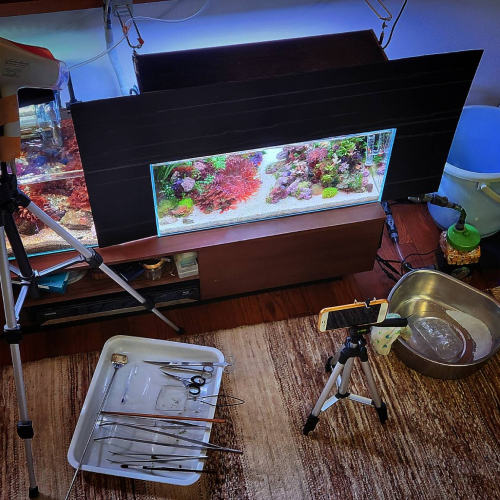 Coloso 水景クリエイター 冨岡直樹