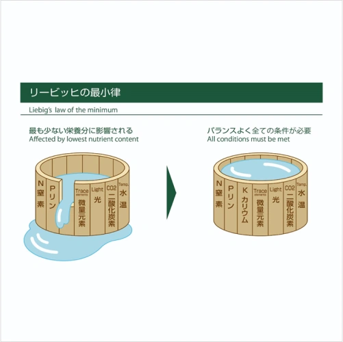 Coloso 水景クリエイター 冨岡直樹