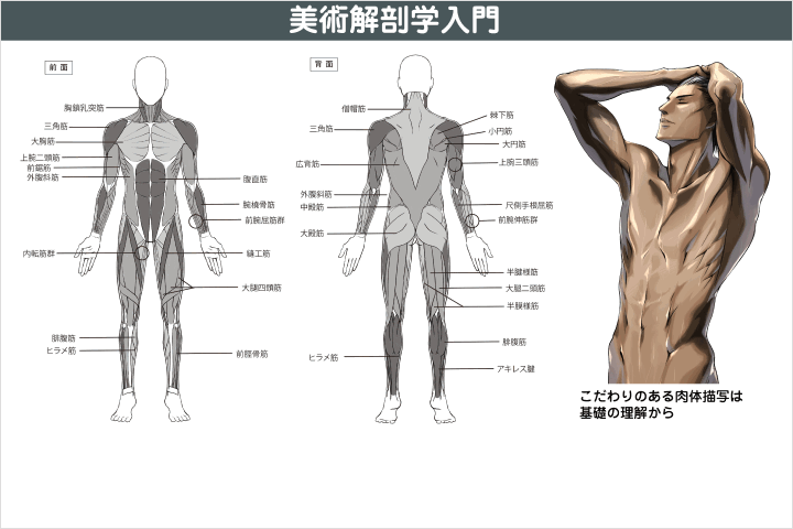 Coloso イラストレーター 長崎祐子 講座内容