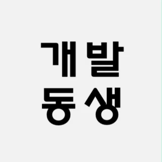 프로그래머 개발동생