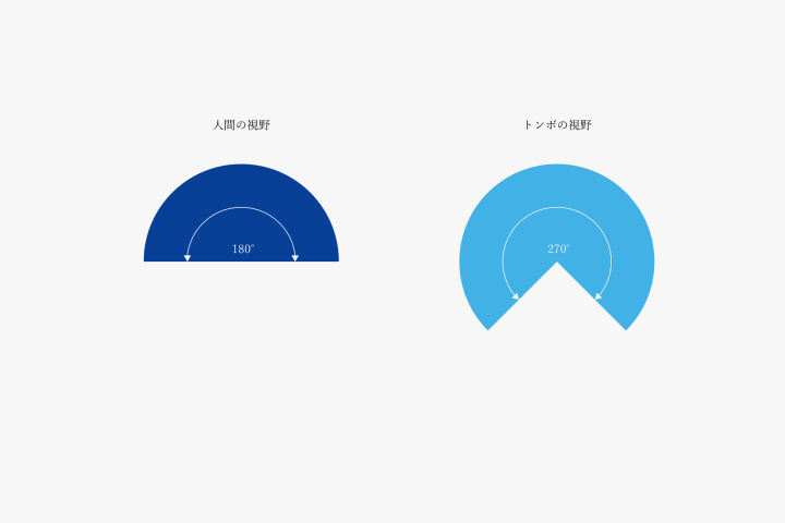 Coloso Live 荒井胤海の例題