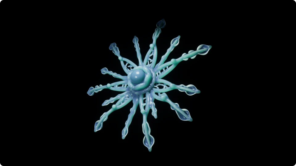 ImageSlide
