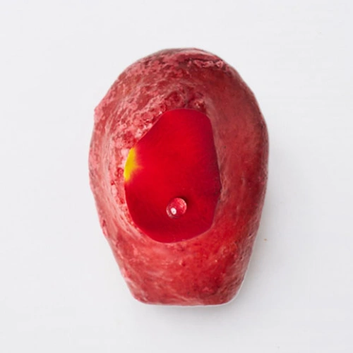 파티셰 김수경