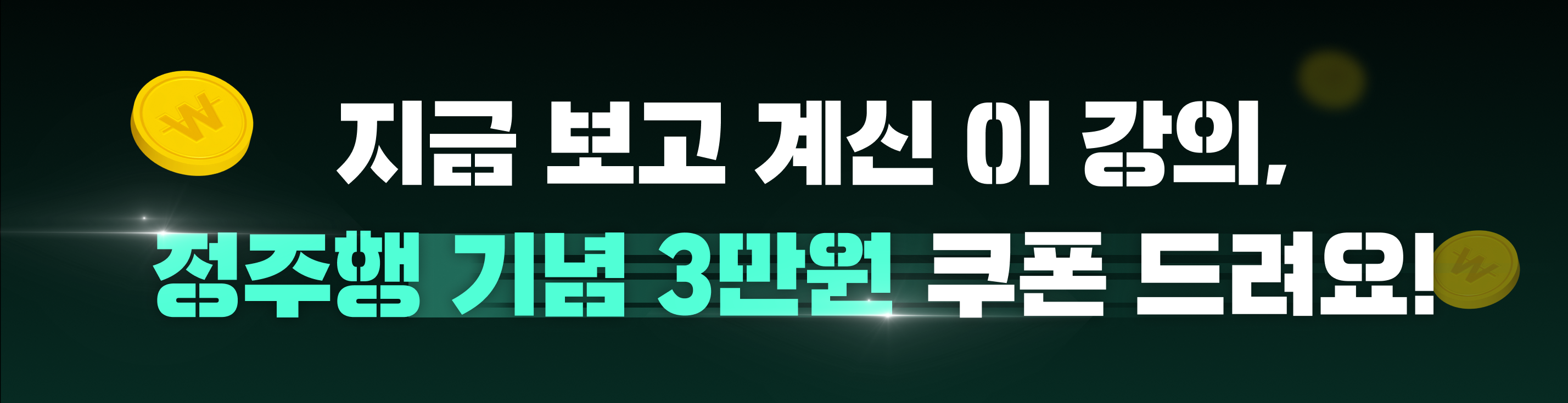 정주행 기획전