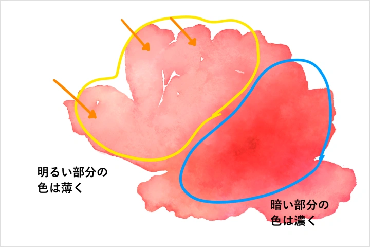 Coloso イラストレーター 加藤アカツキ